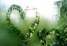 美网季后赛对决在即！拜仁慕尼黑演练定位球，山东泰山密集防守应对(山东泰山队与比赛直播最新)